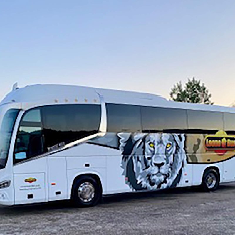 SCANIA IRIZAR i6